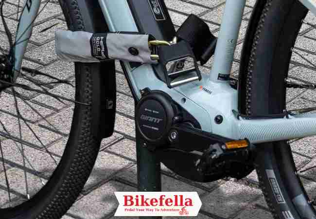 Hiplok Gold lock on bicycle frame